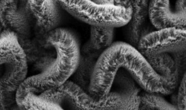 行业新闻：可拉伸的超等电容器，，，，，，，为柔性可衣着装备铺路